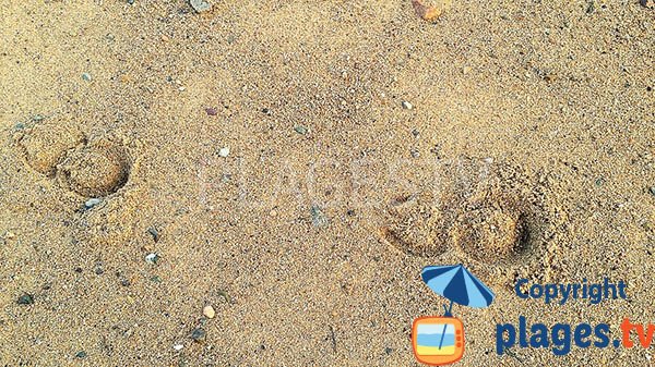 Sable de la plage de Traezh Coalen à Lanmodez